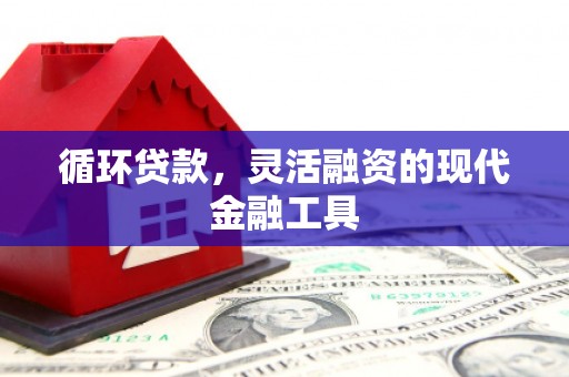 桐庐循环贷款，灵活融资的现代金融工具