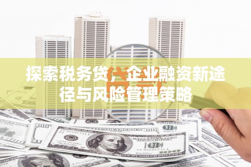 桐庐探索税务贷，企业融资新途径与风险管理策略
