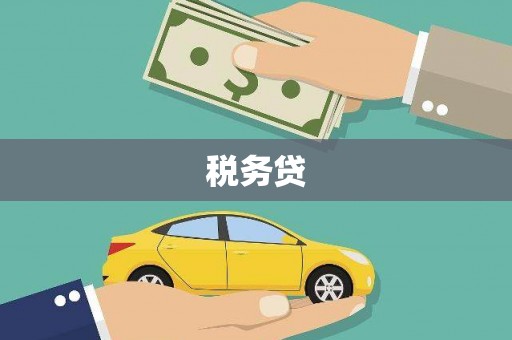 桐庐税务贷