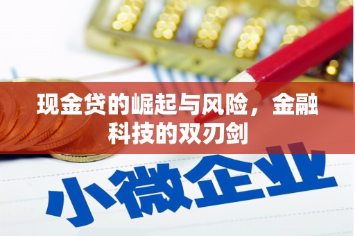 桐庐现金贷的崛起与风险，金融科技的双刃剑