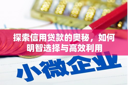 桐庐探索信用贷款的奥秘，如何明智选择与高效利用