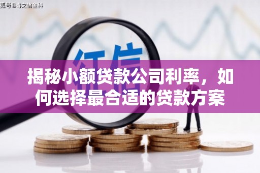 桐庐揭秘小额贷款公司利率，如何选择最合适的贷款方案