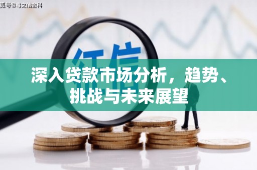 桐庐深入贷款市场分析，趋势、挑战与未来展望
