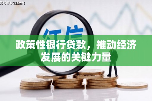 桐庐政策性银行贷款，推动经济发展的关键力量