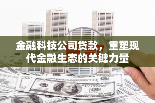 桐庐金融科技公司贷款，重塑现代金融生态的关键力量