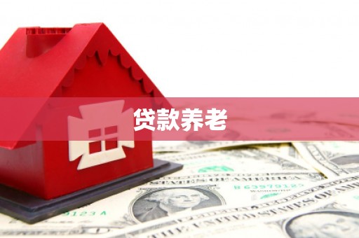 桐庐贷款养老