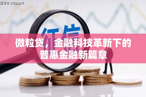 桐庐微粒贷，金融科技革新下的普惠金融新篇章