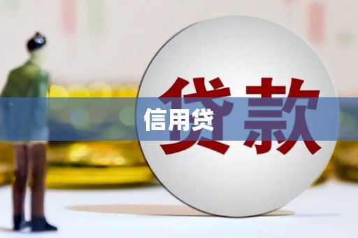 桐庐信用贷
