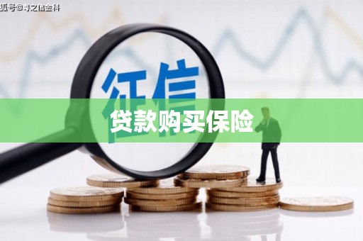 桐庐贷款购买保险