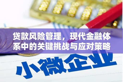 桐庐贷款风险管理，现代金融体系中的关键挑战与应对策略
