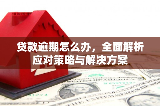 桐庐贷款逾期怎么办，全面解析应对策略与解决方案