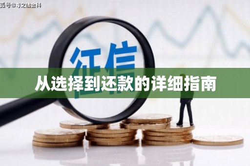 桐庐从选择到还款的详细指南