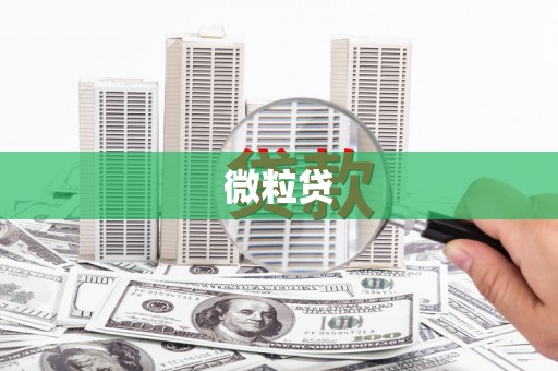 桐庐微粒贷