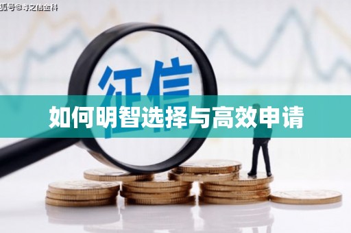 桐庐如何明智选择与高效申请