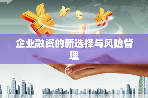 桐庐企业融资的新选择与风险管理