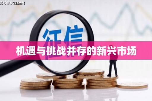 桐庐机遇与挑战并存的新兴市场