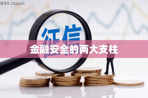桐庐金融安全的两大支柱