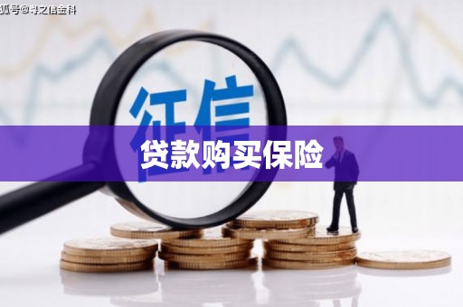 桐庐贷款购买保险