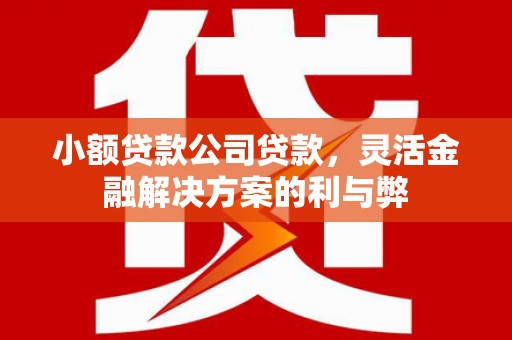 桐庐小额贷款公司贷款，灵活金融解决方案的利与弊