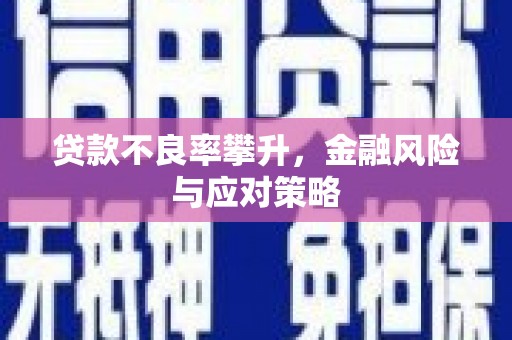 桐庐贷款不良率攀升，金融风险与应对策略