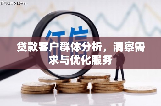 桐庐贷款客户群体分析，洞察需求与优化服务